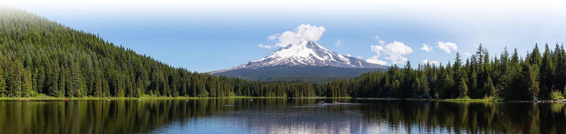 Trillium Lake and Mt. Hood National Forest. Beautiful Panoramic Landscape View of a Lake with Mt Hood.